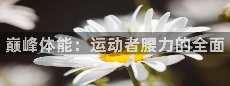 巅峰体能：运动者腰力的全面